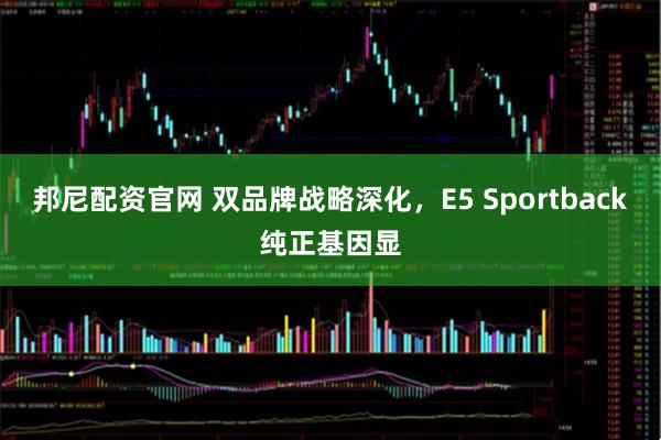 邦尼配资官网 双品牌战略深化，E5 Sportback纯正基因显