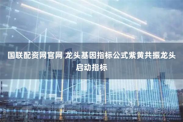国联配资网官网 龙头基因指标公式紫黄共振龙头启动指标