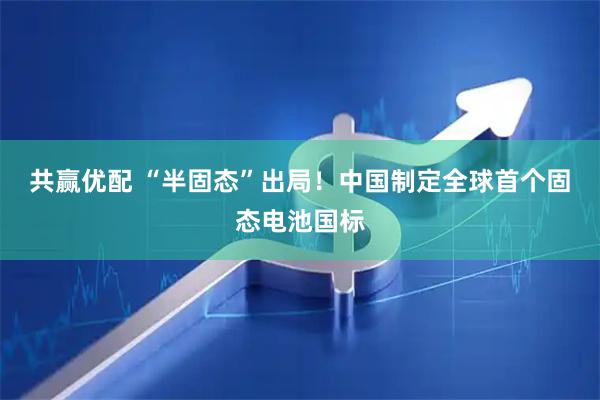 共赢优配 “半固态”出局！中国制定全球首个固态电池国标
