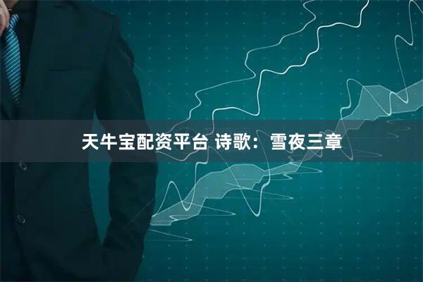 天牛宝配资平台 诗歌：雪夜三章