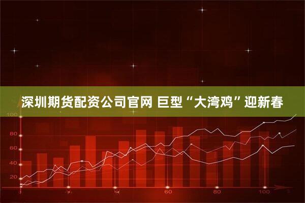 深圳期货配资公司官网 巨型“大湾鸡”迎新春